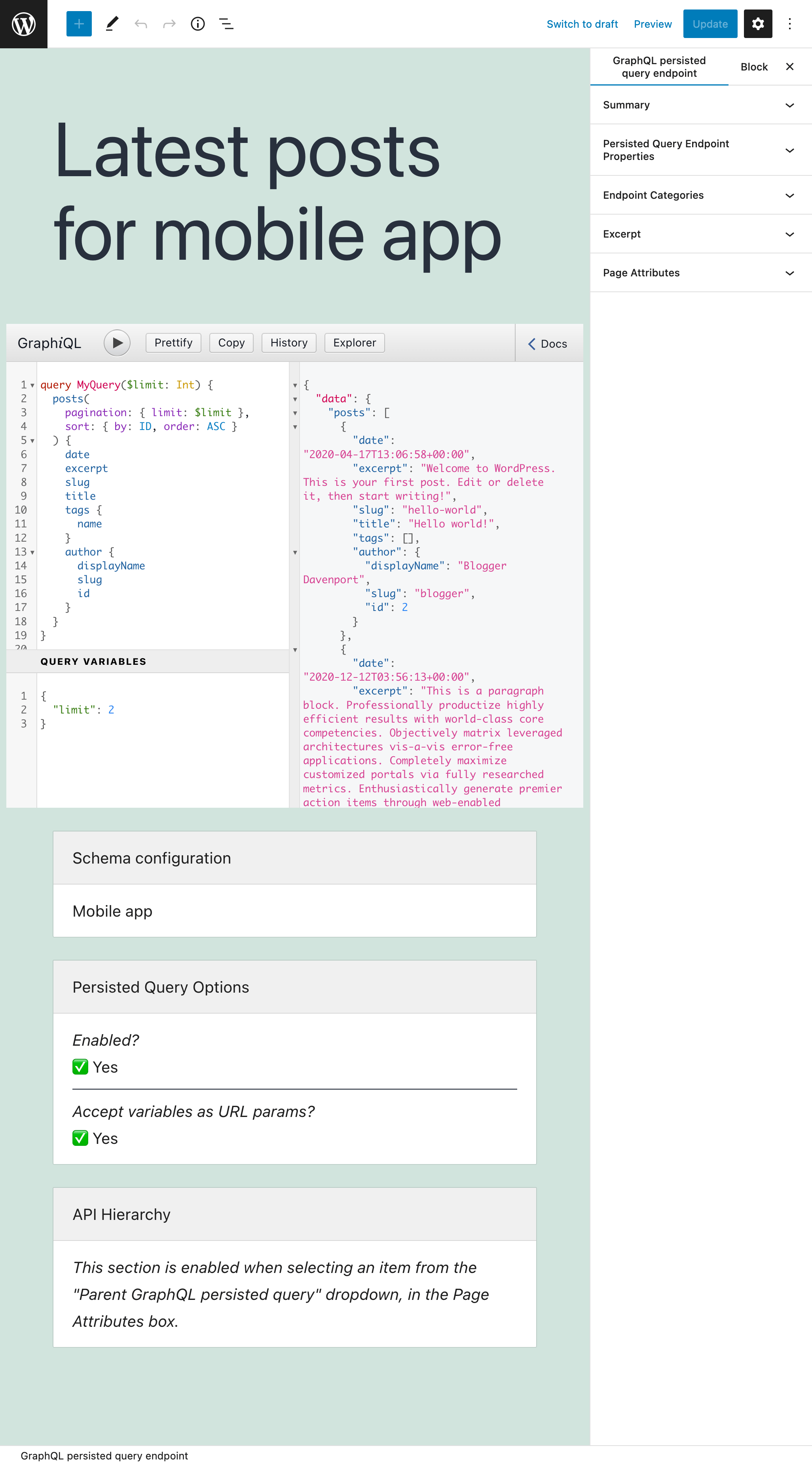 Editor persisted query