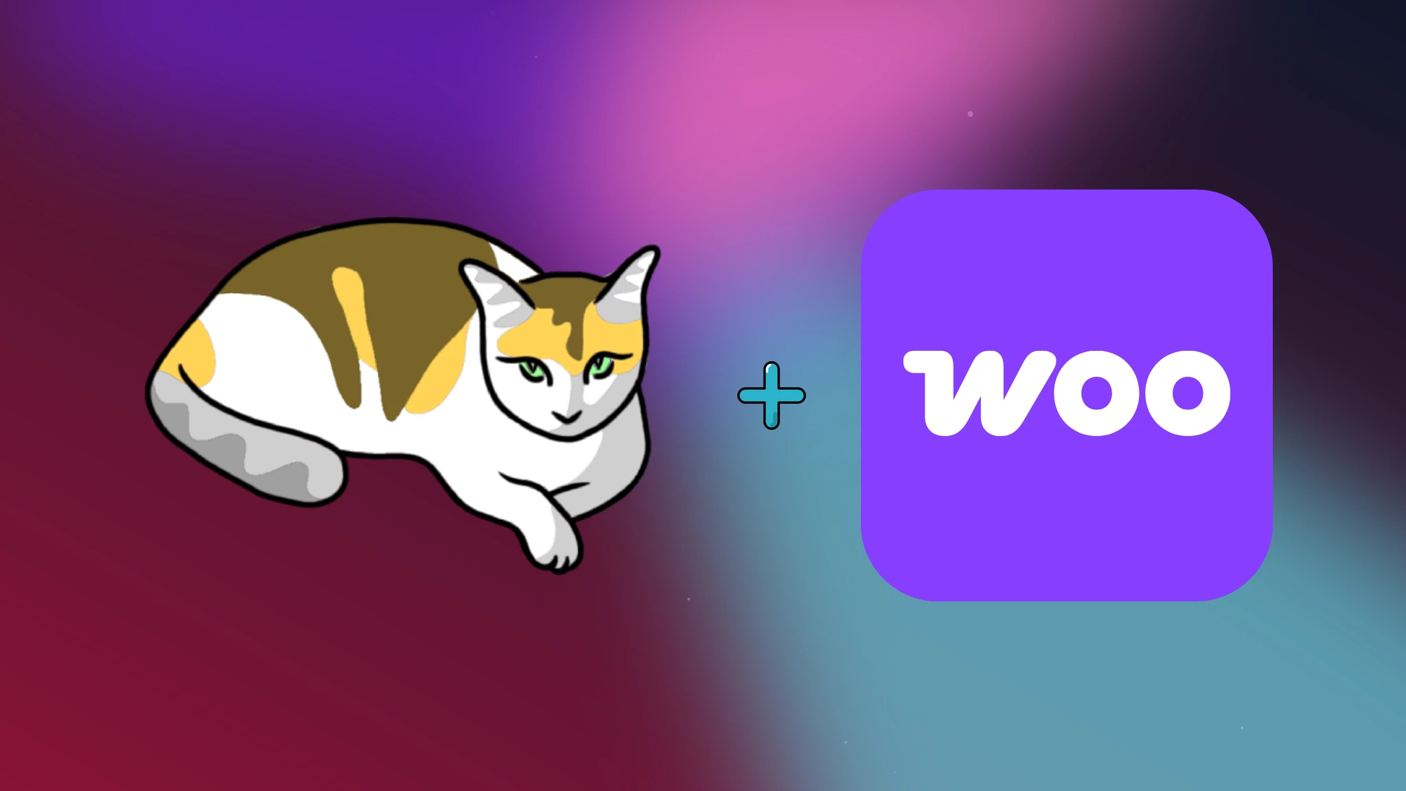 Ekstensi WooCommerce untuk Gato GraphQL